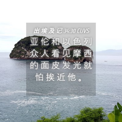 Picture 04 - 出 埃 及 记 34:30 CUVS - 亚 伦 和 以 色 列 众 人 看 见 摩 西 - Bible Verse Picture