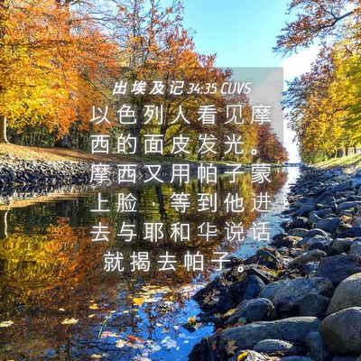 Picture 04 - 出 埃 及 记 34:35 CUVS - 以 色 列 人 看 见 摩 西 的 面 皮 发 - Bible Verse Picture