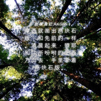 Picture 04 - 出 埃 及 记 34:4 CUVS - 摩 西 就 凿 出 两 块 石 版 ， 和 先 - Bible Verse Picture