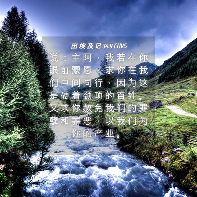 Picture 04 - 出 埃 及 记 34:9 CUVS - 说 ： 主 阿 ， 我 若 在 你 眼 前 蒙 - Bible Verse Picture