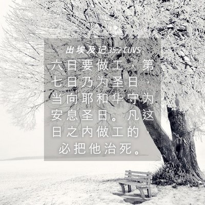 Picture 04 - 出 埃 及 记 35:2 CUVS - 六 日 要 做 工 ， 第 七 日 乃 为 圣 - Bible Verse Picture