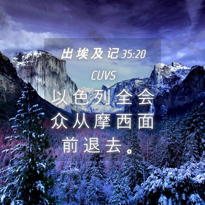 Picture 04 - 出 埃 及 记 35:20 CUVS - 以 色 列 全 会 众 从 摩 西 面 前 退 - Bible Verse Picture