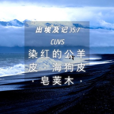 Picture 04 - 出 埃 及 记 35:7 CUVS - 染 红 的 公 羊 皮 ， 海 狗 皮 ， 皂 - Bible Verse Picture