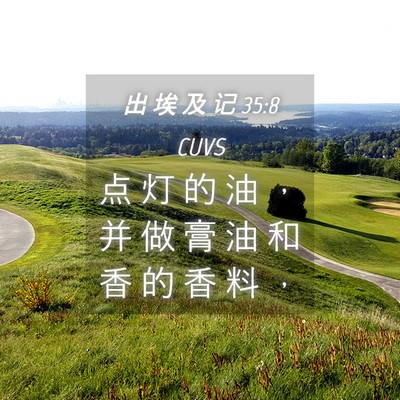 Picture 04 - 出 埃 及 记 35:8 CUVS - 点 灯 的 油 ， 并 做 膏 油 和 香 的 - Bible Verse Picture