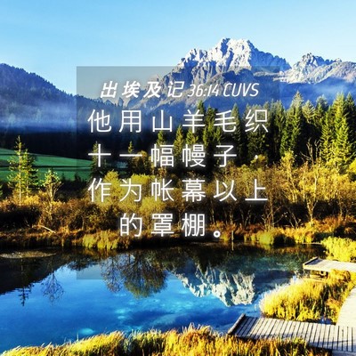Picture 04 - 出 埃 及 记 36:14 CUVS - 他 用 山 羊 毛 织 十 一 幅 幔 子 ， - Bible Verse Picture