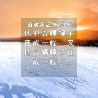 Picture 04 - 出 埃 及 记 36:16 CUVS - 他 把 五 幅 幔 子 连 成 一 幅 ， 又 - Bible Verse Picture