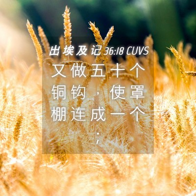 Picture 04 - 出 埃 及 记 36:18 CUVS - 又 做 五 十 个 铜 钩 ， 使 罩 棚 连 - Bible Verse Picture