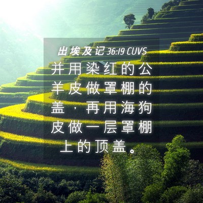Picture 04 - 出 埃 及 记 36:19 CUVS - 并 用 染 红 的 公 羊 皮 做 罩 棚 的 - Bible Verse Picture