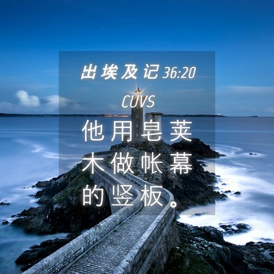 Picture 04 - 出 埃 及 记 36:20 CUVS - 他 用 皂 荚 木 做 帐 幕 的 竖 板 - Bible Verse Picture