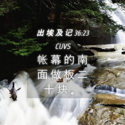 Picture 04 - 出 埃 及 记 36:23 CUVS - 帐 幕 的 南 面 做 板 二 十 块 - Bible Verse Picture