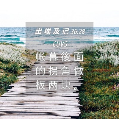 Picture 04 - 出 埃 及 记 36:28 CUVS - 帐 幕 後 面 的 拐 角 做 板 两 块 - Bible Verse Picture