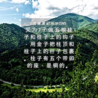 Picture 04 - 出 埃 及 记 36:38 CUVS - 又 为 ? 子 做 五 根 柱 子 和 柱 子 上 - Bible Verse Picture