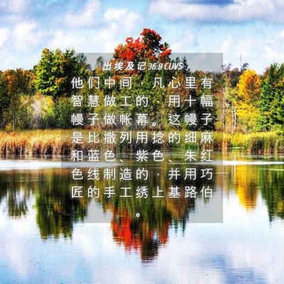 Picture 04 - 出 埃 及 记 36:8 CUVS - 他 们 中 间 ， 凡 心 里 有 智 慧 做 - Bible Verse Picture