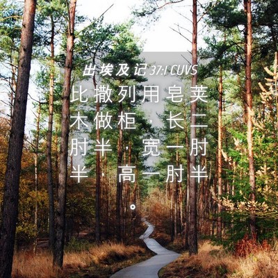 Picture 04 - 出 埃 及 记 37:1 CUVS - 比 撒 列 用 皂 荚 木 做 柜 ， 长 二 - Bible Verse Picture
