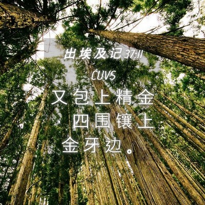 Picture 04 - 出 埃 及 记 37:11 CUVS - 又 包 上 精 金 ， 四 围 镶 上 金 牙 - Bible Verse Picture