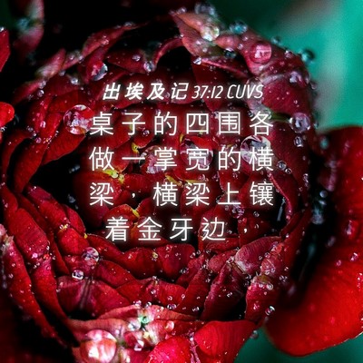 Picture 04 - 出 埃 及 记 37:12 CUVS - 桌 子 的 四 围 各 做 一 掌 宽 的 横 - Bible Verse Picture