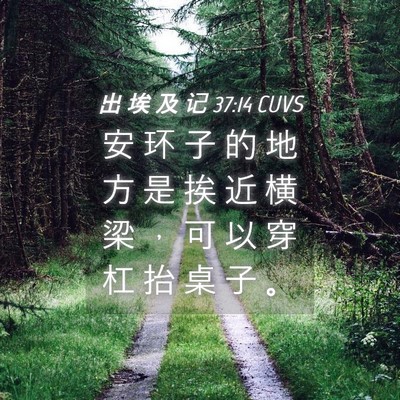 Picture 04 - 出 埃 及 记 37:14 CUVS - 安 环 子 的 地 方 是 挨 近 横 梁 ， - Bible Verse Picture
