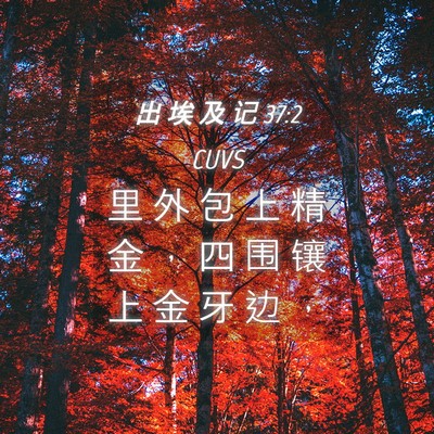 Picture 04 - 出 埃 及 记 37:2 CUVS - 里 外 包 上 精 金 ， 四 围 镶 上 金 - Bible Verse Picture