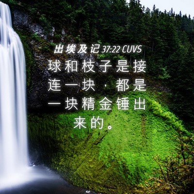 Picture 04 - 出 埃 及 记 37:22 CUVS - 球 和 枝 子 是 接 连 一 块 ， 都 是 - Bible Verse Picture