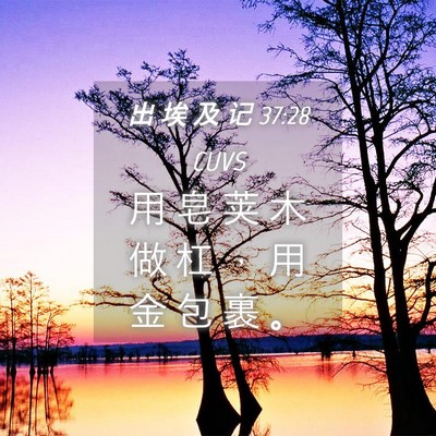Picture 04 - 出 埃 及 记 37:28 CUVS - 用 皂 荚 木 做 杠 ， 用 金 包 裹 - Bible Verse Picture