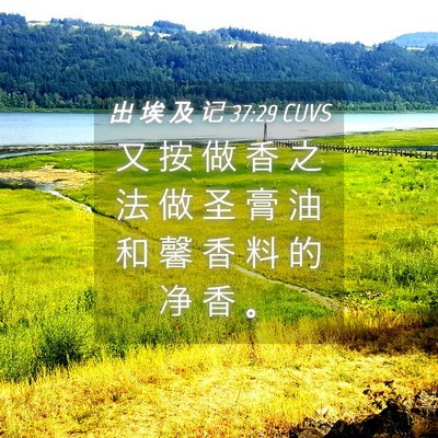 Picture 04 - 出 埃 及 记 37:29 CUVS - 又 按 做 香 之 法 做 圣 膏 油 和 馨 - Bible Verse Picture