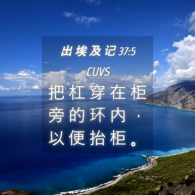 Picture 04 - 出 埃 及 记 37:5 CUVS - 把 杠 穿 在 柜 旁 的 环 内 ， 以 便 - Bible Verse Picture