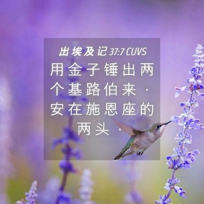 Picture 04 - 出 埃 及 记 37:7 CUVS - 用 金 子 锤 出 两 个 基 路 伯 来 ， - Bible Verse Picture