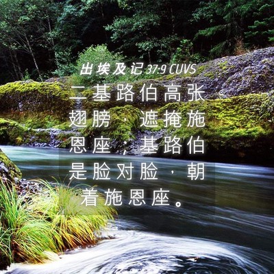 Picture 04 - 出 埃 及 记 37:9 CUVS - 二 基 路 伯 高 张 翅 膀 ， 遮 掩 施 - Bible Verse Picture