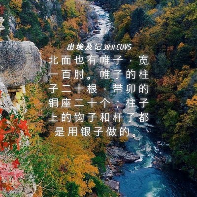Picture 04 - 出 埃 及 记 38:11 CUVS - 北 面 也 有 帷 子 ， 宽 一 百 肘 。 - Bible Verse Picture