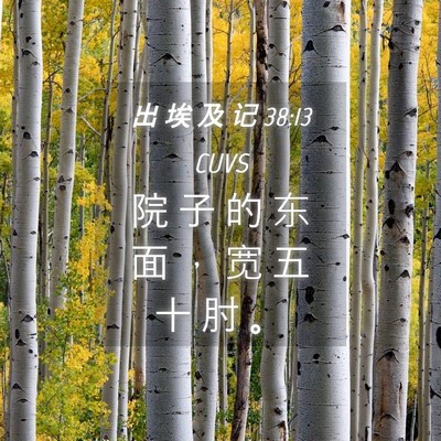 Picture 04 - 出 埃 及 记 38:13 CUVS - 院 子 的 东 面 ， 宽 五 十 肘 - Bible Verse Picture