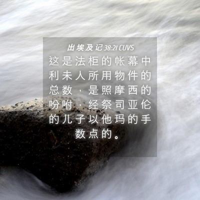 Picture 04 - 出 埃 及 记 38:21 CUVS - 这 是 法 柜 的 帐 幕 中 利 未 人 所 - Bible Verse Picture