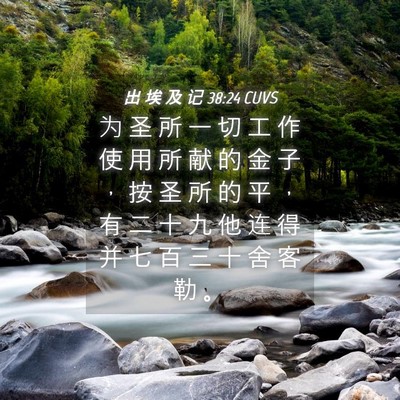Picture 04 - 出 埃 及 记 38:24 CUVS - 为 圣 所 一 切 工 作 使 用 所 献 的 - Bible Verse Picture