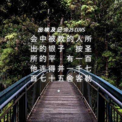 Picture 04 - 出 埃 及 记 38:25 CUVS - 会 中 被 数 的 人 所 出 的 银 子 ， - Bible Verse Picture