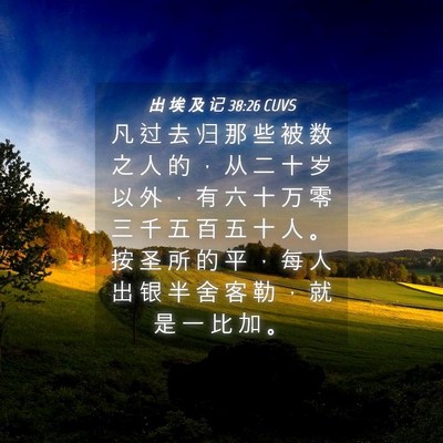 Picture 04 - 出 埃 及 记 38:26 CUVS - 凡 过 去 归 那 些 被 数 之 人 的 ， - Bible Verse Picture