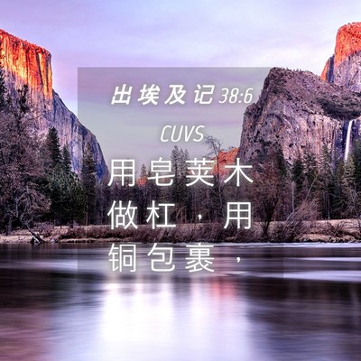 Picture 04 - 出 埃 及 记 38:6 CUVS - 用 皂 荚 木 做 杠 ， 用 铜 包 裹 - Bible Verse Picture