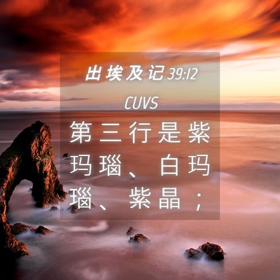 Picture 04 - 出 埃 及 记 39:12 CUVS - 第 三 行 是 紫 玛 瑙 、 白 玛 瑙 、 - Bible Verse Picture
