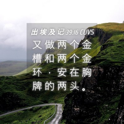 Picture 04 - 出 埃 及 记 39:16 CUVS - 又 做 两 个 金 槽 和 两 个 金 环 ， - Bible Verse Picture