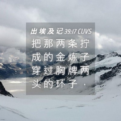 Picture 04 - 出 埃 及 记 39:17 CUVS - 把 那 两 条 拧 成 的 金 炼 子 穿 过 - Bible Verse Picture