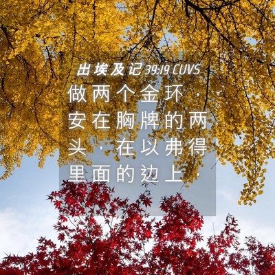 Picture 04 - 出 埃 及 记 39:19 CUVS - 做 两 个 金 环 ， 安 在 胸 牌 的 两 - Bible Verse Picture