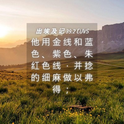 Picture 04 - 出 埃 及 记 39:2 CUVS - 他 用 金 线 和 蓝 色 、 紫 色 、 朱 - Bible Verse Picture