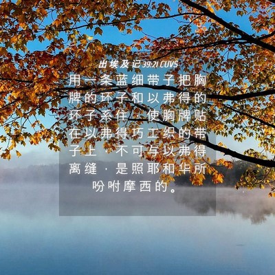 Picture 04 - 出 埃 及 记 39:21 CUVS - 用 一 条 蓝 细 带 子 把 胸 牌 的 环 - Bible Verse Picture