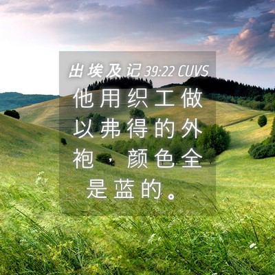 Picture 04 - 出 埃 及 记 39:22 CUVS - 他 用 织 工 做 以 弗 得 的 外 袍 ， - Bible Verse Picture