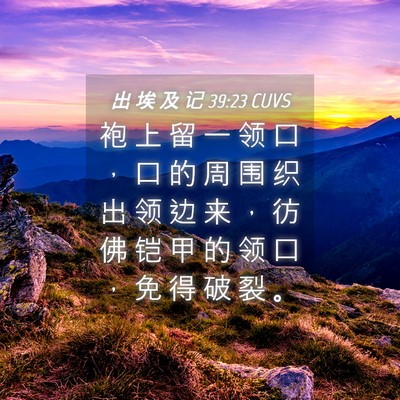 Picture 04 - 出 埃 及 记 39:23 CUVS - 袍 上 留 一 领 口 ， 口 的 周 围 织 - Bible Verse Picture