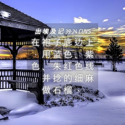 Picture 04 - 出 埃 及 记 39:24 CUVS - 在 袍 子 底 边 上 ， 用 蓝 色 、 紫 - Bible Verse Picture