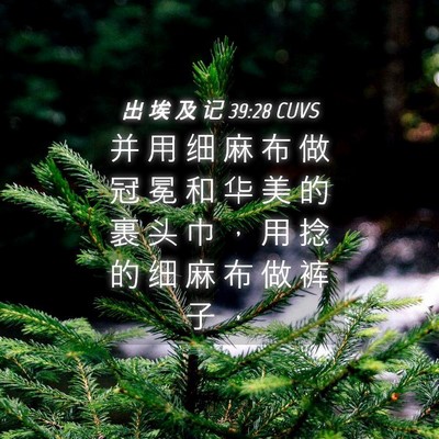 Picture 04 - 出 埃 及 记 39:28 CUVS - 并 用 细 麻 布 做 冠 冕 和 华 美 的 - Bible Verse Picture