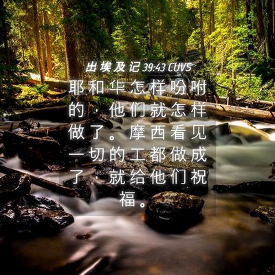 Picture 04 - 出 埃 及 记 39:43 CUVS - 耶 和 华 怎 样 吩 咐 的 ， 他 们 就 - Bible Verse Picture