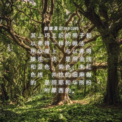Picture 04 - 出 埃 及 记 39:5 CUVS - 其 上 巧 工 织 的 带 子 和 以 弗 得 - Bible Verse Picture