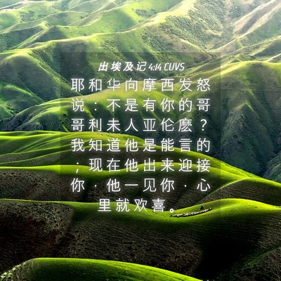 Picture 04 - 出 埃 及 记 4:14 CUVS - 耶 和 华 向 摩 西 发 怒 说 ： 不 是 - Bible Verse Picture