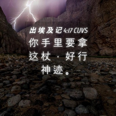Picture 04 - 出 埃 及 记 4:17 CUVS - 你 手 里 要 拿 这 杖 ， 好 行 神 迹 - Bible Verse Picture