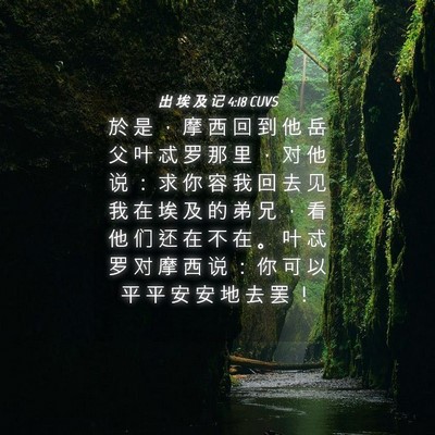 Picture 04 - 出 埃 及 记 4:18 CUVS - 於 是 ， 摩 西 回 到 他 岳 父 叶 忒 - Bible Verse Picture